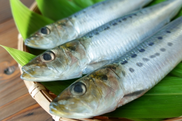 DHA・EPAを含む青魚