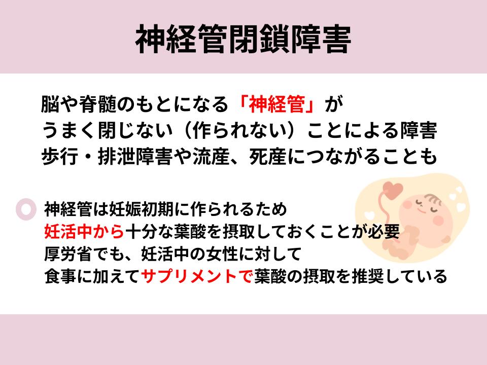 神経管閉鎖障害について