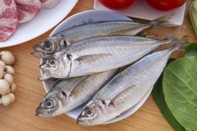 青魚