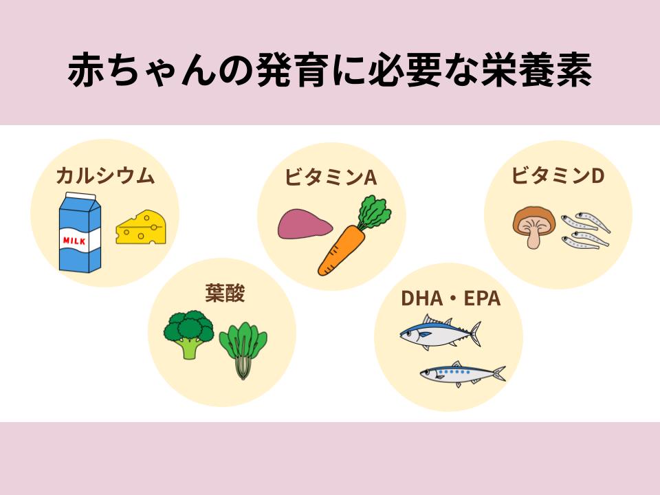 赤ちゃんの発育のために必要な栄養素を紹介