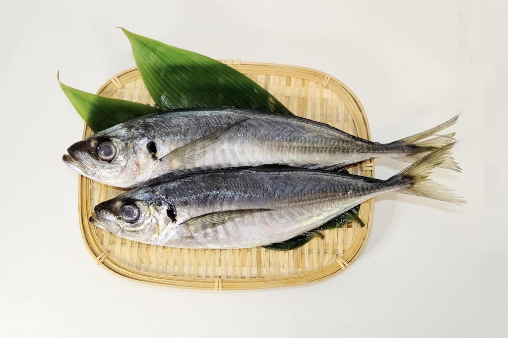 青魚
