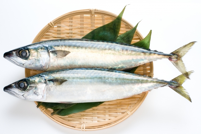 青魚