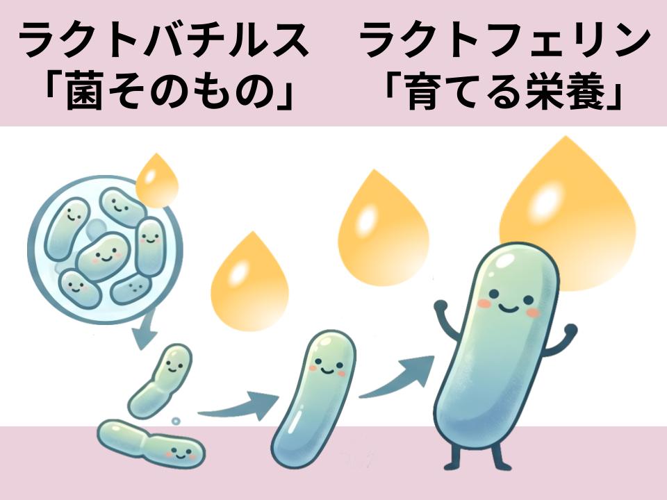 菌そのものと育てる栄養
