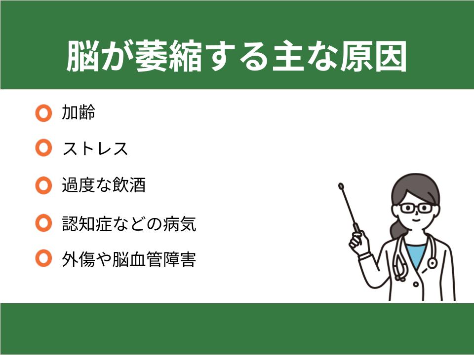 脳が萎縮する主な原因