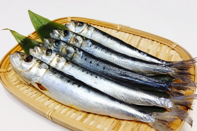 青魚のいわし