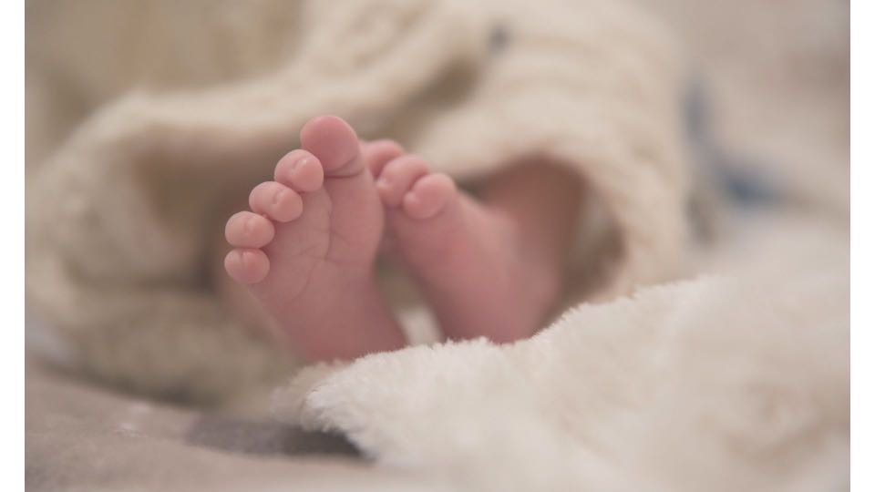 ママコは赤ちゃんに届けたいものだけを厳選して配合している