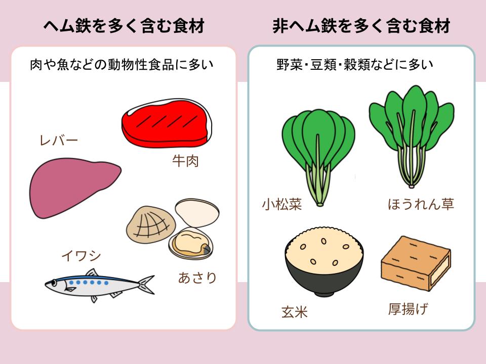 ヘム鉄を含む食材と非ヘム鉄を含む食材